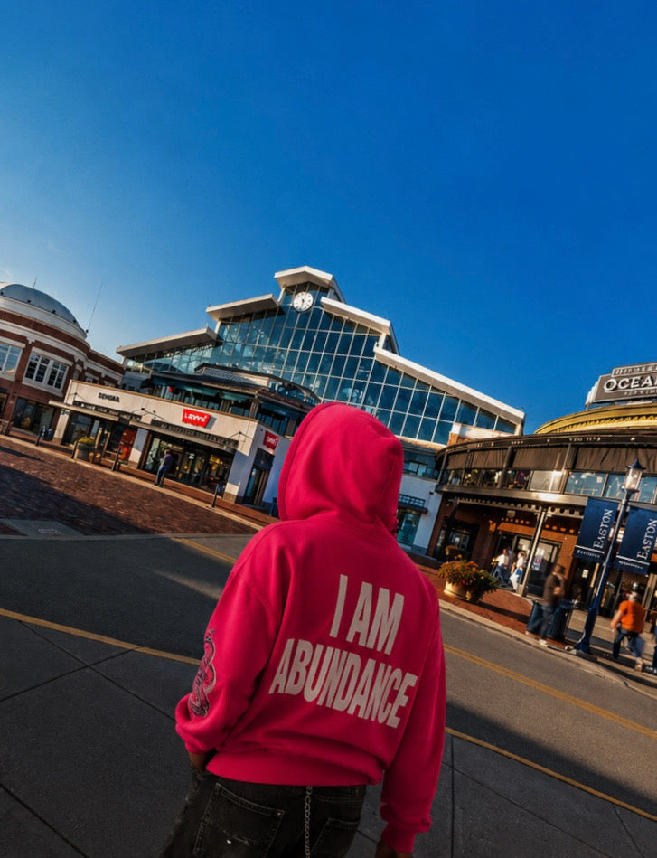 GALORE “𝙄 𝘼𝙈 𝘼𝘽𝙐𝙉𝘿𝘼𝙉𝘾𝙀” Pink Hoodie